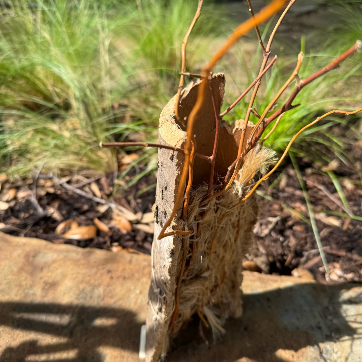 Sept 27 Foraged Weaving
