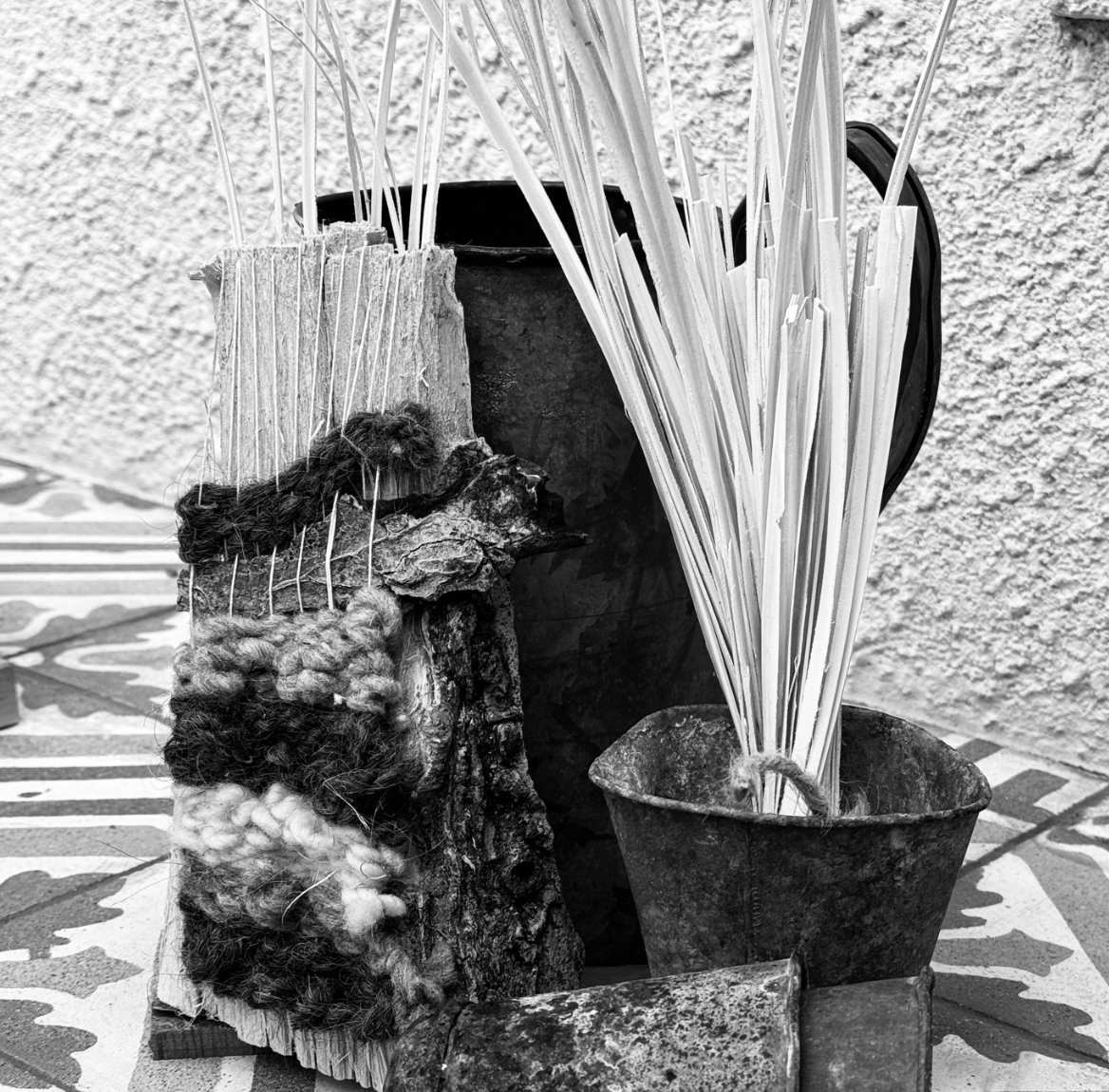 Sept 27 Foraged Weaving