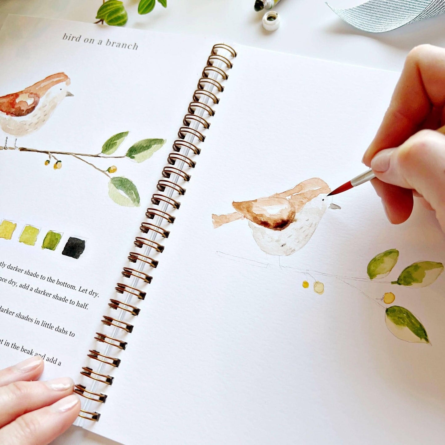 Emily Lex Watercolor Workbooks