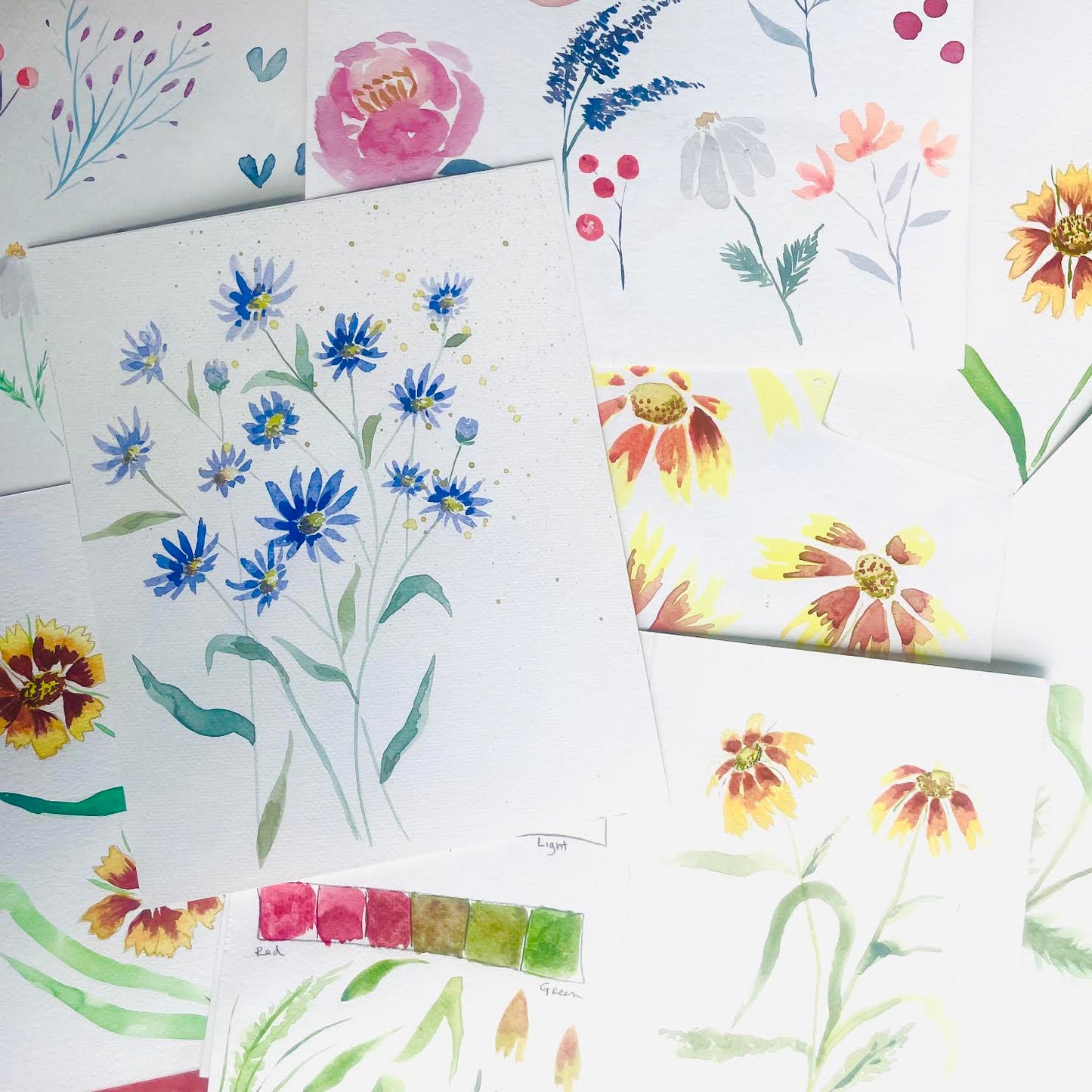 Oct 19 Botanical Painting in the Garden