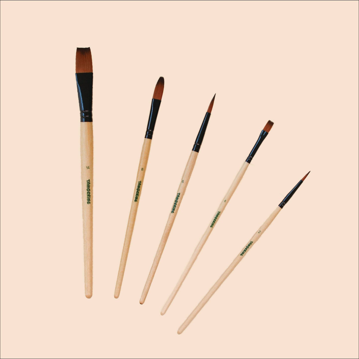 Paint Brush Set