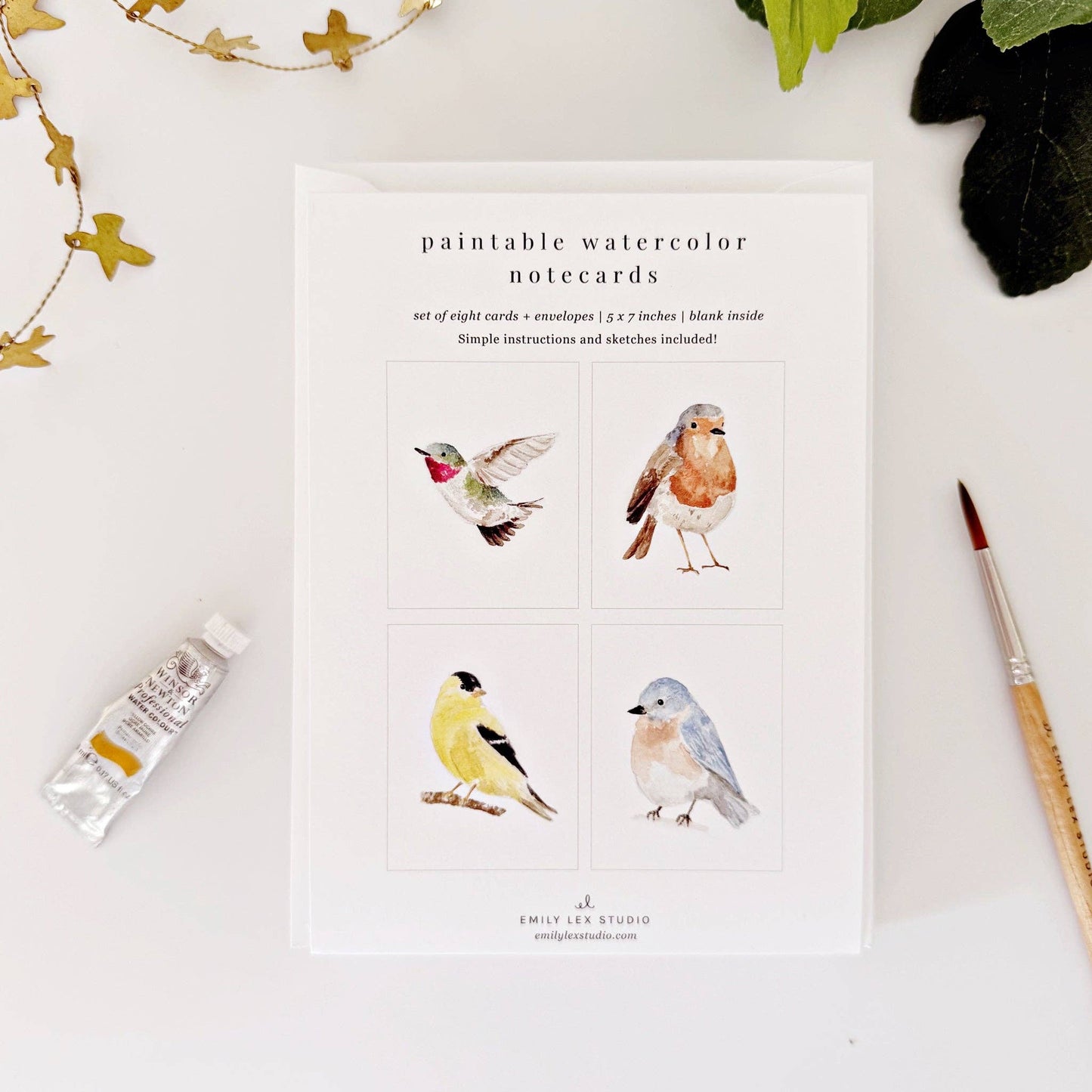 Emily Lex Studio - Backyard birds paintable notecards