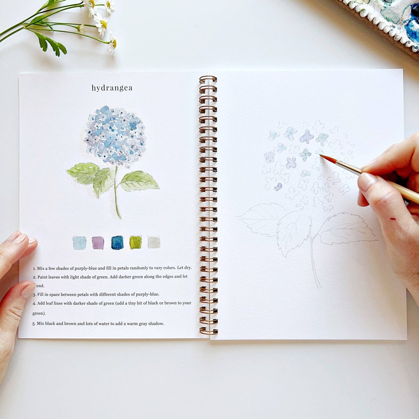 Emily Lex Studio - Flowers watercolor workbook