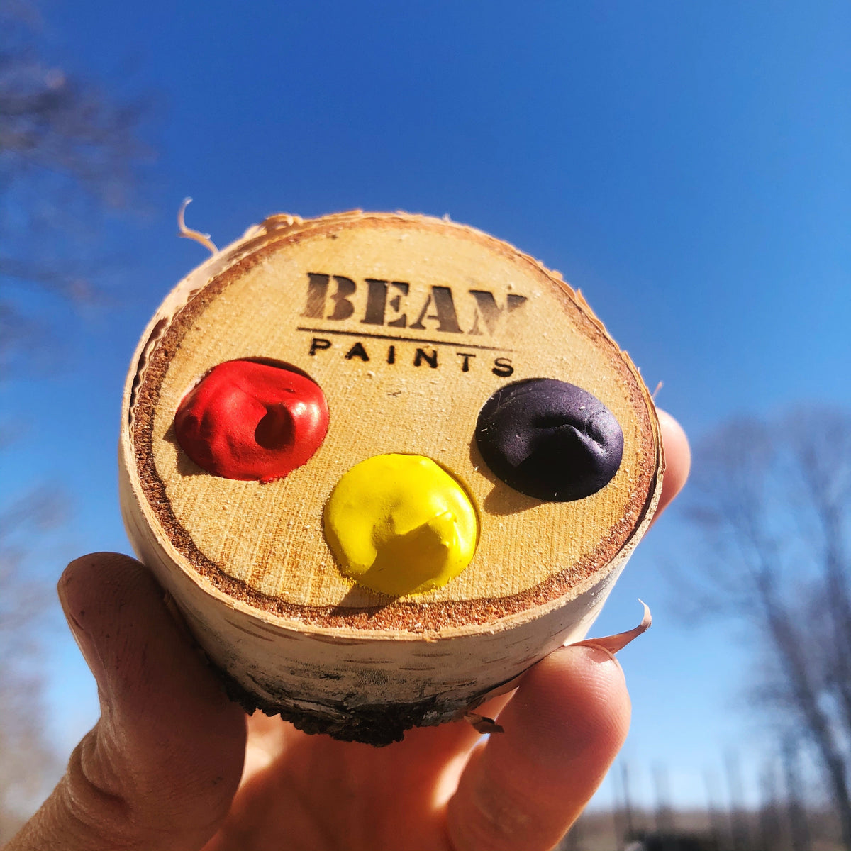 Beam Paints Birch Palette