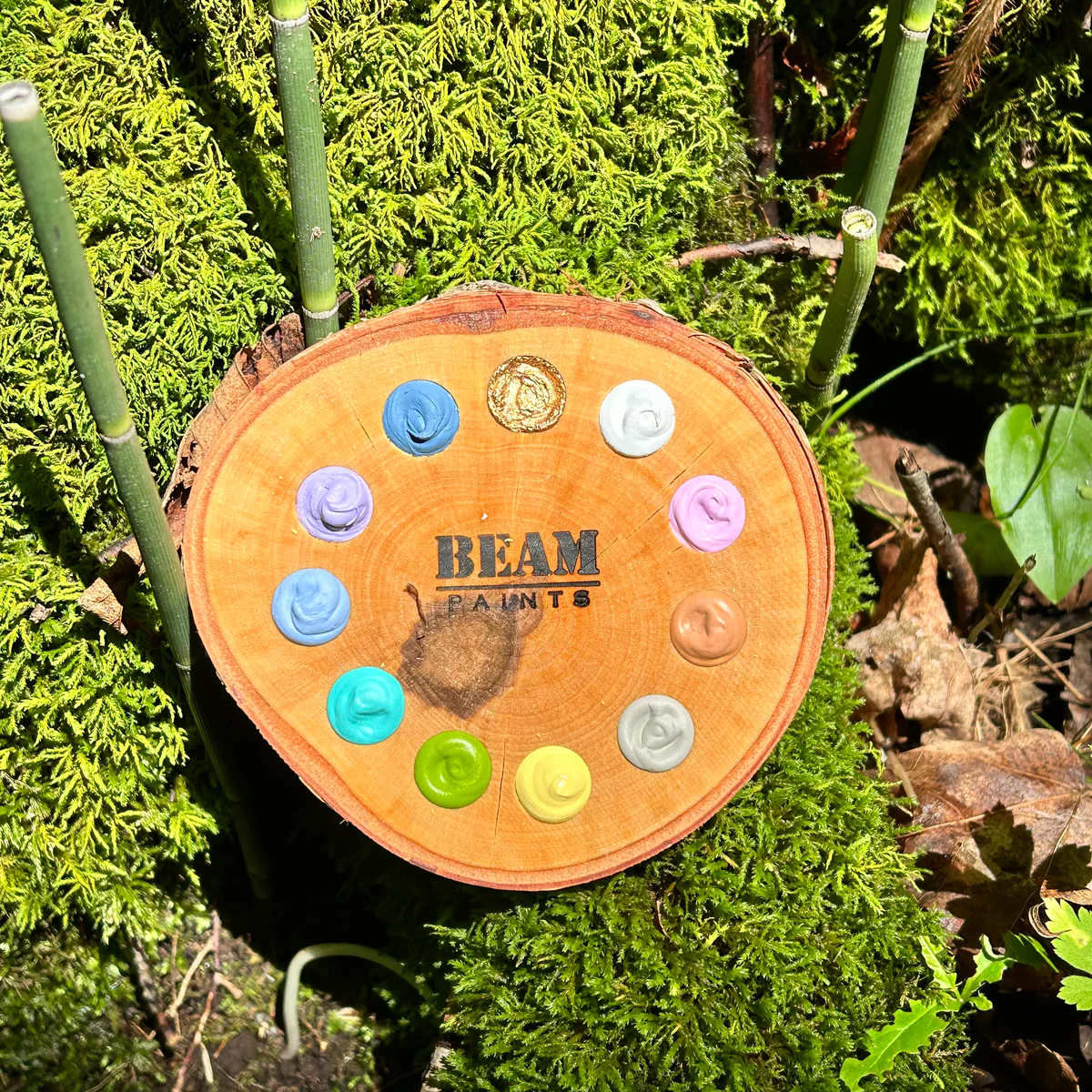 Beam Paints Spectrum 11 Wooden Paint Palettes