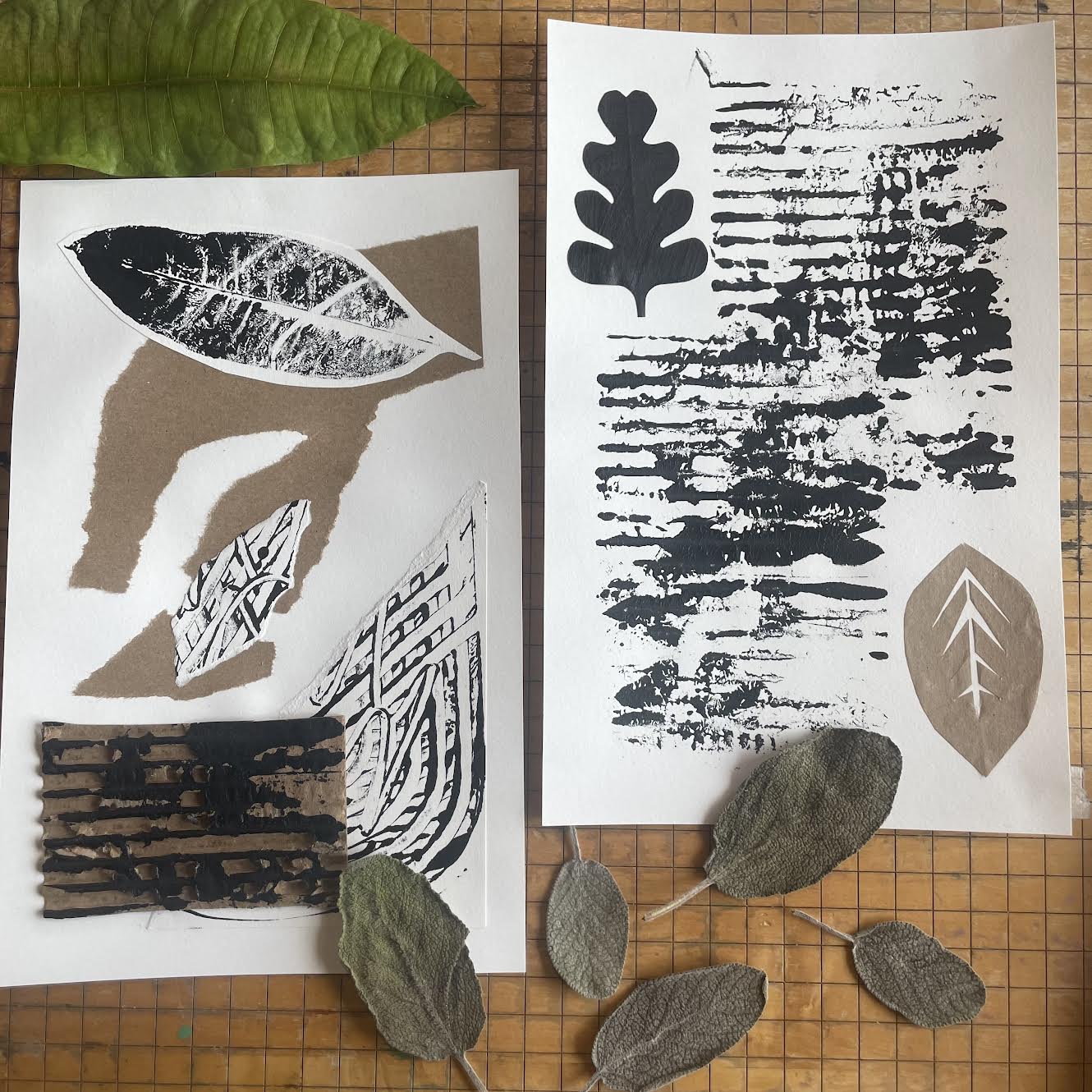 July 20- 24 AM: Printmaking