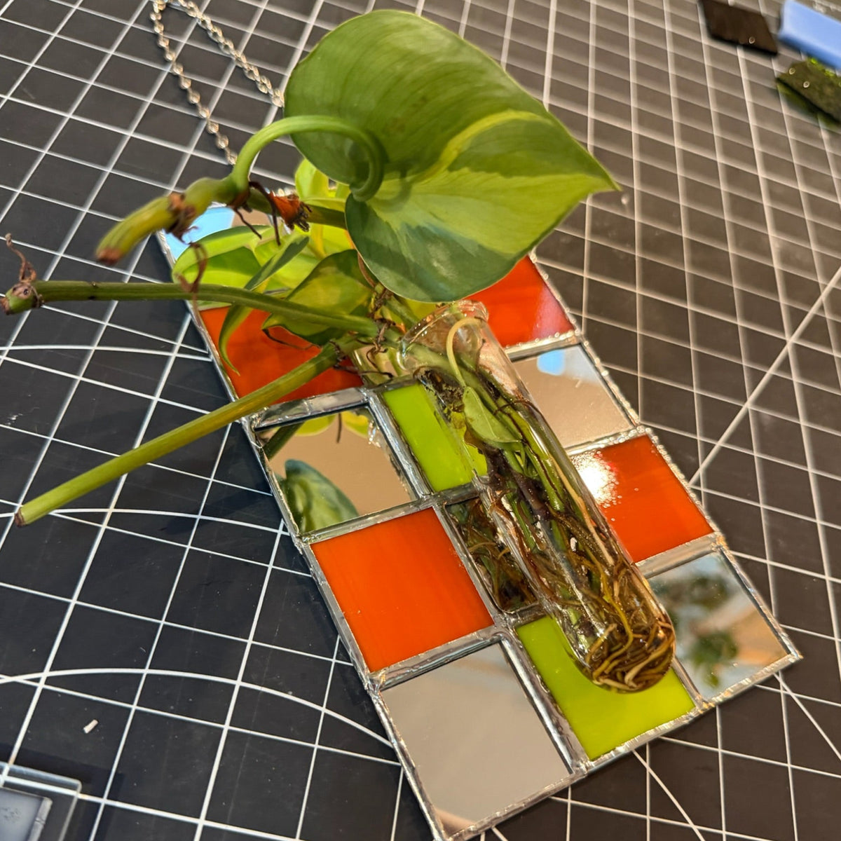 April 25 Stained Glass Plant Propogation Station