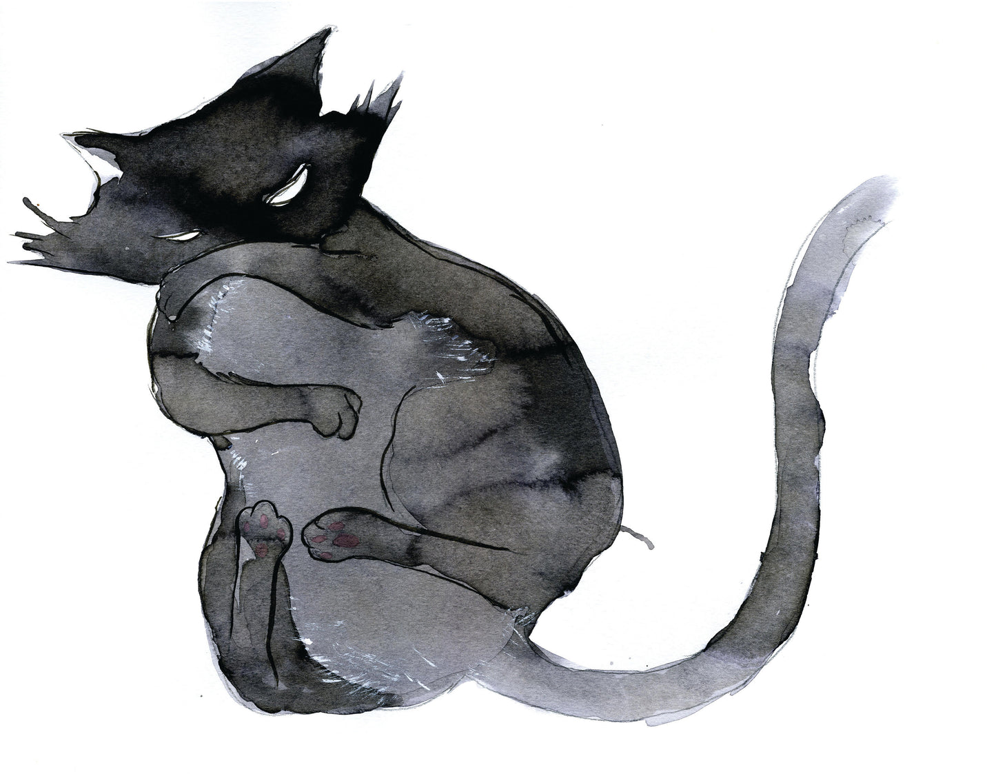 Oct 25 Sumi Ink and Watercolor