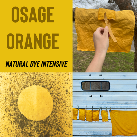 April 6 + 7 Natural Dye Intensive: Osage Orange